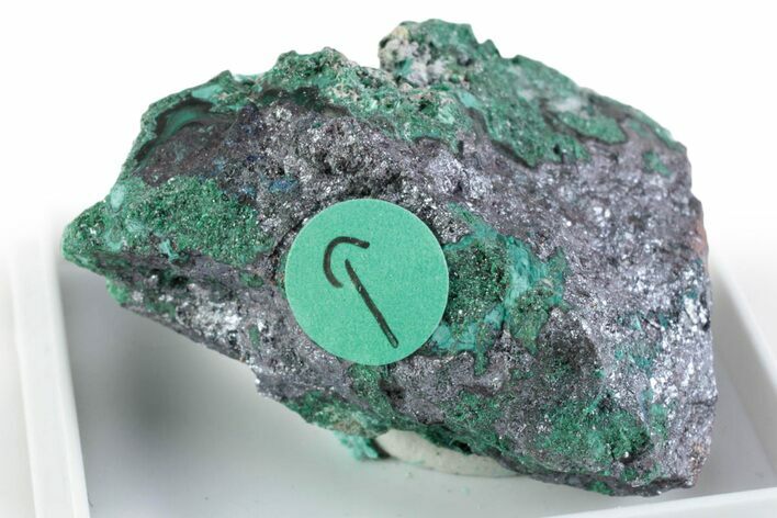 Rare Blue-Green Rouaite w/ Malachite & Cuprite - DR Congo #381389